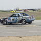 Illustration for article titled The 24 Hours Of LeMons Texas Gator-O-Rama Über Gallery: The Japanese